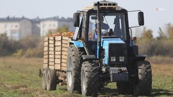 Аграрии Новоалександровского округа завершают ремонт сельхозтехники