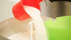 Производство молока на Ставрополье увеличилось на 4%