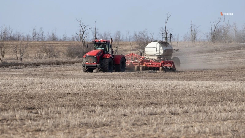 Весенний сев стартовал в Новоалександровском округе