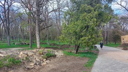 В центре села Раздольного Новоалександровского округа благоустроят новый парк