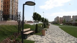 В станице Новоалександровского округа обустроили парк по госпрограмме