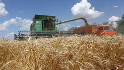 Аграрии Ставрополья выполнили 11 процентов от запланированного объёма по сбору зерновых
