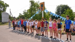 Дети Новоалександровского района лето проводят с пользой