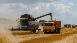 Семь тысяч комбайнов задействуют в предстоящей уборочной кампании на Ставрополье