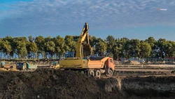 В Новоалександровском округе построят комбикормовый завод