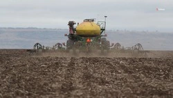 Сев яровых в Новоалександровском округе выполнили на 92%