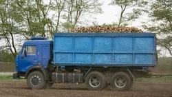 Уборку сахарной свёклы завершают в Новоалександровском округе