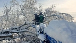 Для восстановления света в Новоалександровском округе приехали новые бригады