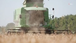 Уборку урожая в Новоалександровском округе выполнили на 70%