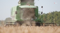 Уборку урожая в Новоалександровском округе выполнили на 70%